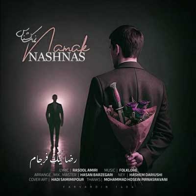 یکی میخوام که اهل نارفیق رضا نیکفرجام نمک نشناس