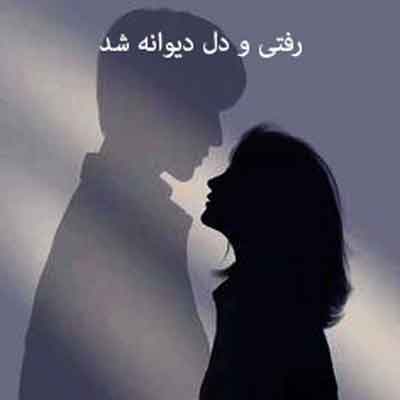 رفتی و دل دیوانه شد