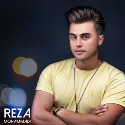 درختی زخمی و پیرم کجایی ساقی میمیرم از رضا محمدی