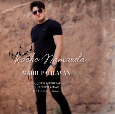 مجید پهلوان