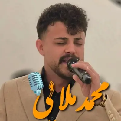 محمد ملایی دلتنگتم