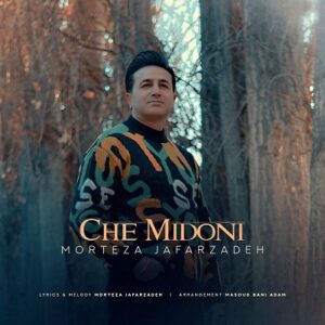 دانلود آهنگ چه میدونی مرتضی جعفرزاده