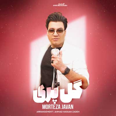 مرتضی جوان گلپری