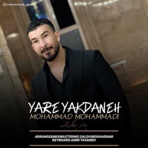 دانلود آهنگ بشنو ناله ی دل زارم از محمد محمدی (یار یکدانه)